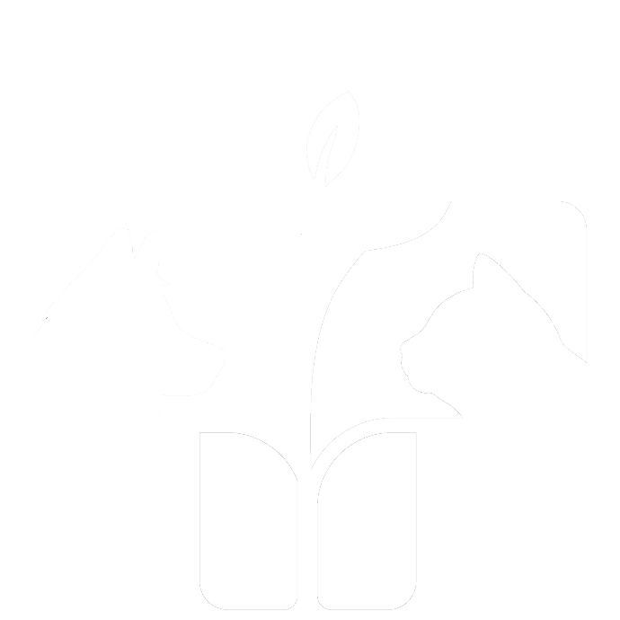 Logo équilibre &amp; santé