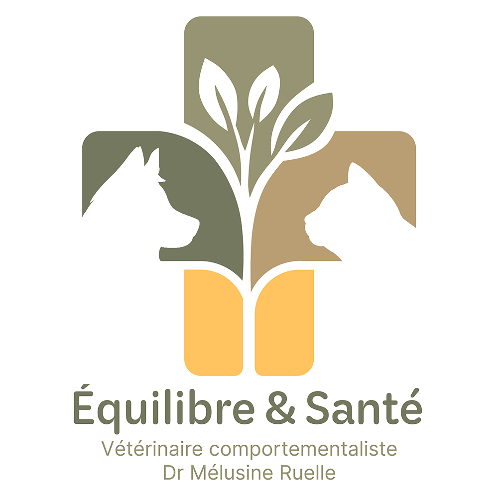 Logo Équilibre &amp; Santé